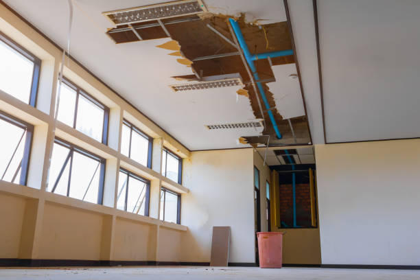 Best Flood restoration services  in Hebron, NE