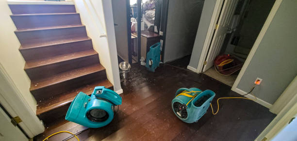 Best Mold removal after water damage  in Hebron, NE