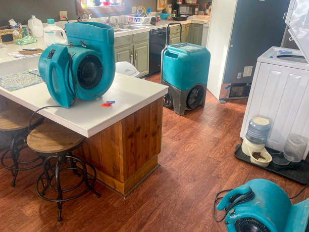 Best Water damage restoration near me  in Hebron, NE