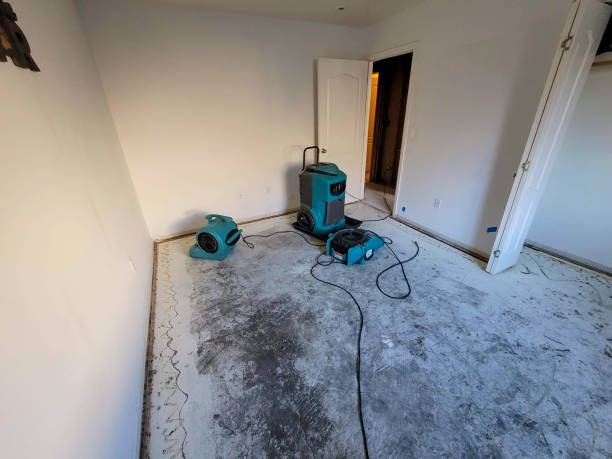 Best Basement water damage restoration  in Hebron, NE