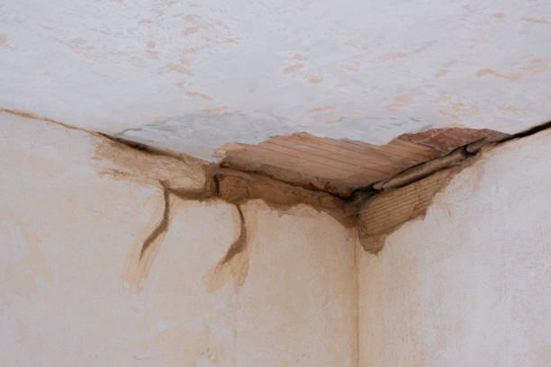 Best Commercial water damage restoration  in Hebron, NE