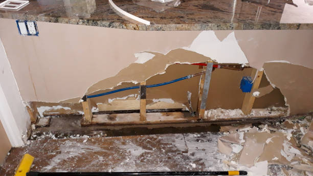 Best Professional water damage repair  in Hebron, NE