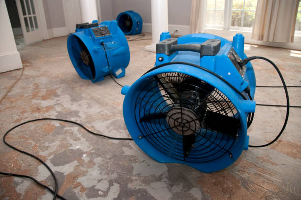 Best Flooded house restoration  in Hebron, NE