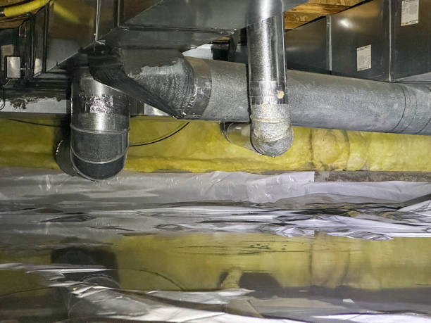 Best Mold removal after water damage  in Hebron, NE
