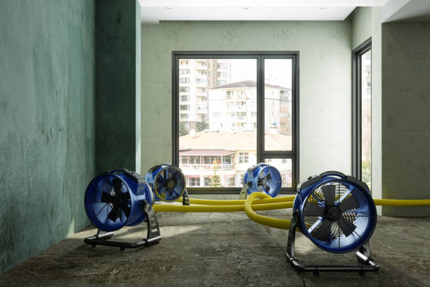 Best Water damage restoration cost  in Hebron, NE